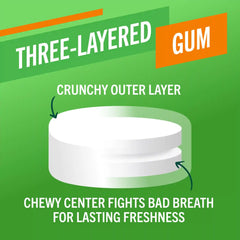 Fresh Breath Chewing Gum, Citrus Mint Flavor
